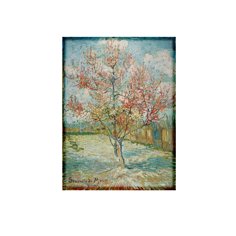 product-50-1-Recovered