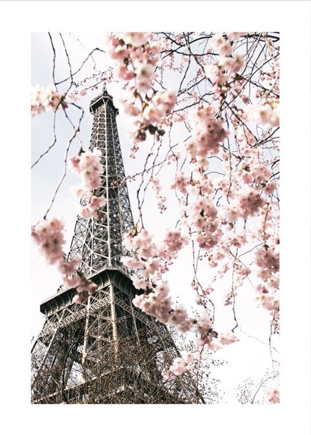 Blooming Paris Poster