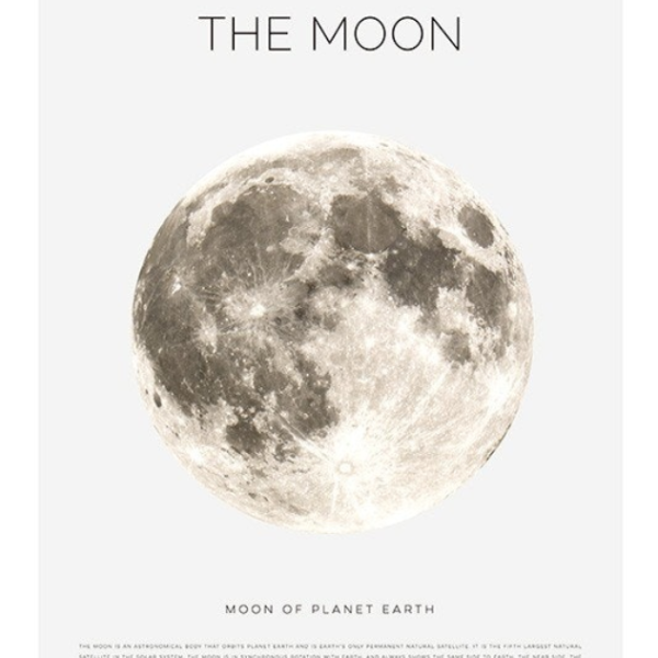 The Moon